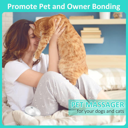 Electric Pet Massager