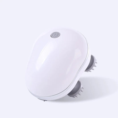 Electric Pet Massager